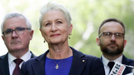 Kerryn Phelps to stay on as Sydney councillor to avoid byelection