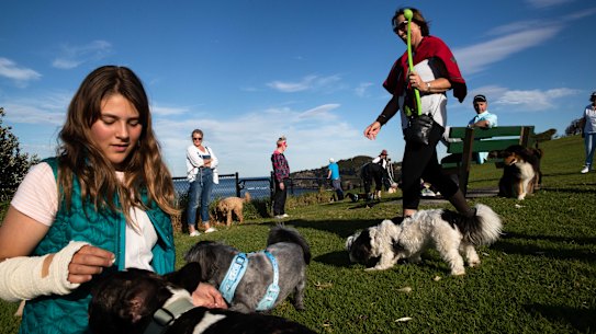 Residents are divided over a proposal by Northern Beaches Council to create off-leash dog areas at Palm Beach and Mona Vale Beach.