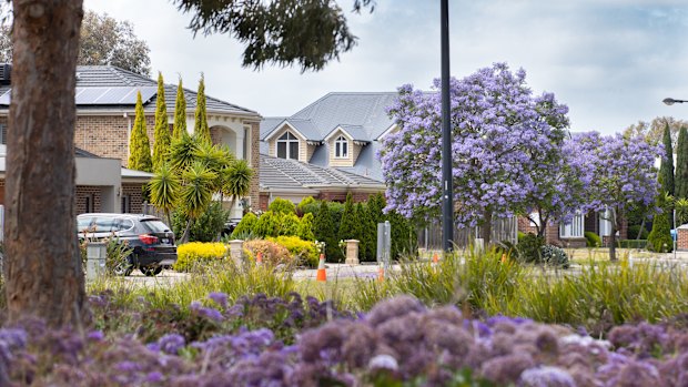 Life in Taylors Hill.