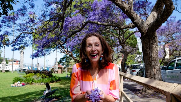 North Sydney mayor Jilly Gibson will give away 300 young jacaranda trees to local residents to bring more tourists to the area for the season. The trees are beginning to flower now, but will peak over the next few weeks. 