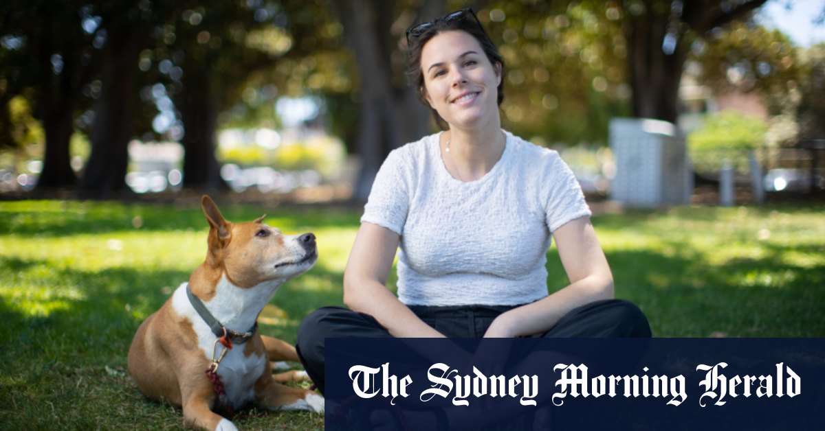 Who gets the dog in a break-up? Some former couples share custody of the canine