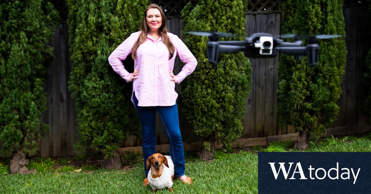 The rise of pet detectives - Vimarsana News