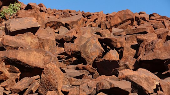 One of the engravings at the rock art gallery in Murujuga national park.