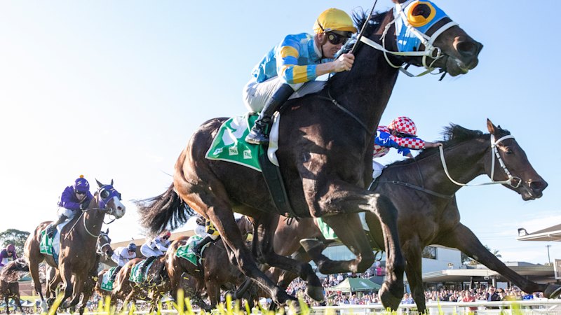 Race-by-race preview and tips for Gosford on Thursday