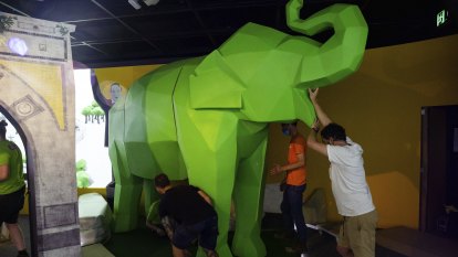 ‘I hope you like stairs’: How to move a giant green elephant