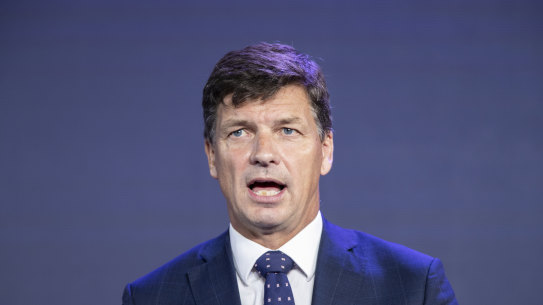 Federal Energy Minister Angus Taylor says Australia is on track to meet its 2030 climate targets.