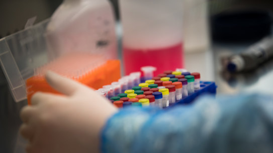 South Australia recorded three locally tranmitted cases, putting the open border with WA in jeopardy. 