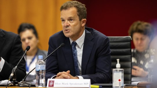 NSW Attorney-General Mark Speakman says the government’s response to the ice inquiry is imminent.