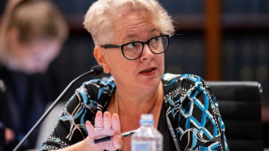 Labor MP Penny Sharpe.