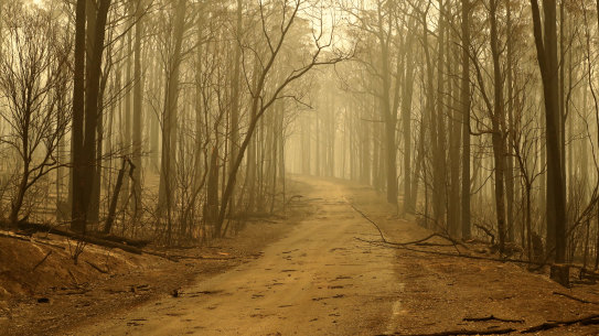 Victoria is weighing the damage.