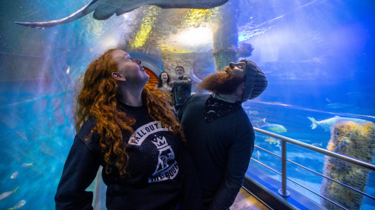 Sarah Noonan and Alister Winkel, from Traralgon, visiting the Sea Life aquarium in the city. 