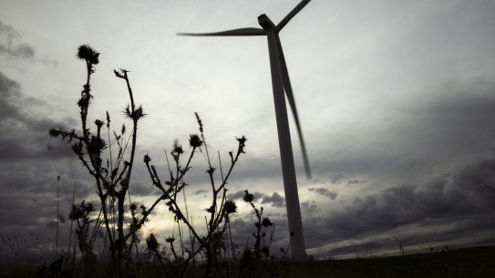 The growing wind industry fears antipathy from the NSW planning department.