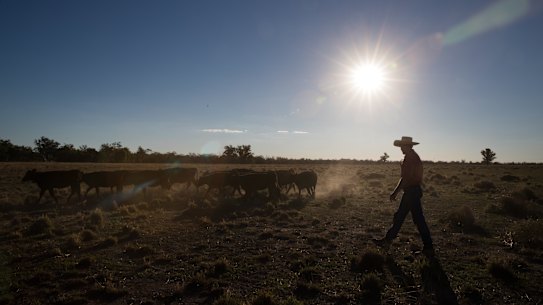 The "budget for the bush" looks to be a win for regional NSW, but who else came out ahead?