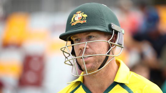 David Warner has a desire to captain his country.