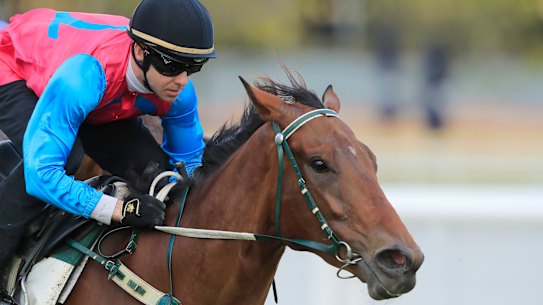 Tricky Gal has secured the last spot in The Invitation.