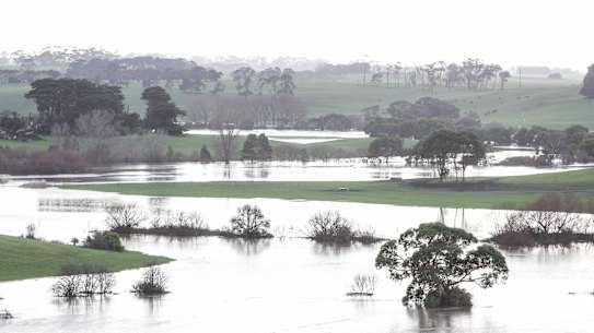 Flooding in supposedly drought stricken Moyne Shire in August.