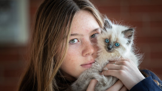 Howie was purchased from an illegal backyard breeder.