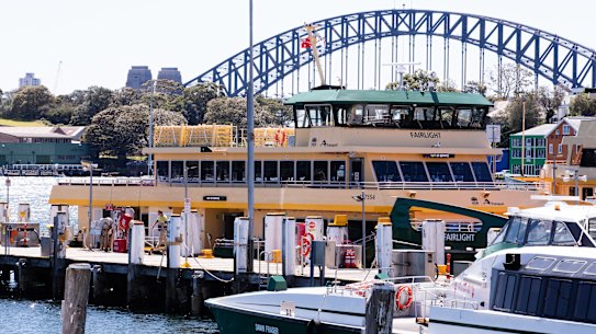 The Fairlight ferry was pulled from service two weeks ago after suffering another steering failure.