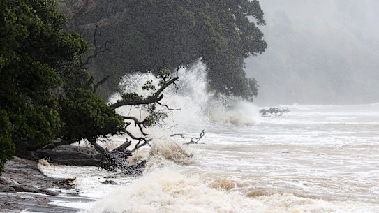 Huge waves from the effects of Cyclone Gabrielle on the Goat Island Marine Reserve.