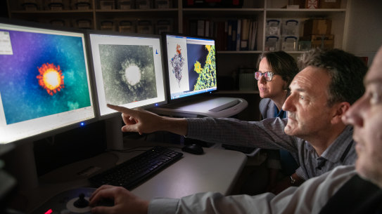 Scientists from The Peter Doherty Institute for Infection and Immunity examine a close up electron microscope image of the SARS-CoV-2 omicron variant of the coronavirus. 