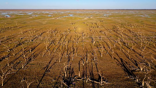 Lake Pamamaroo, part of the Menindee Lake System in western NSW, in April.