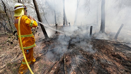 A firefighter douses a wildfire near Mangrove Mountain, north of Sydney, Australia, Sunday, Dec. 8, 2019. Hot dry conditions have brought an early start to the fire season. (AP Photo/Rick Rycroft)