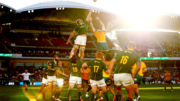 Speed trap: Why the Wallabies may struggle to out-run the Boks in Sydney