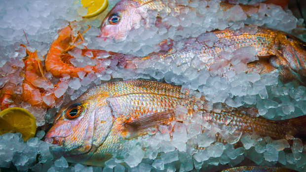 Tourists hooked on fresh Queensland seafood ‘dudded’ into imported fish