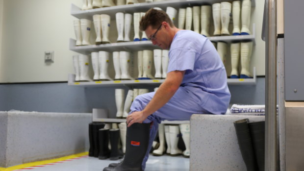 Queensland's youngest forensic pathologist Dr Christopher Day does a walk through the Queensland Forensic Services' mortuary.