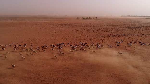 Extreme heatwaves are sweeping across the globe, while floods are impacting parts of Spain, Pakistan and the US. It’s just a taste of the weather extremes we’ll get as climate change worsens.