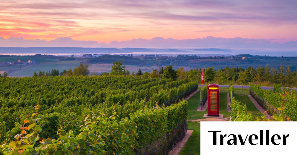 Annapolis Valley tour: This Nova Scotia wine region has a secret weapon that makes it wine unique - Vimarsana News