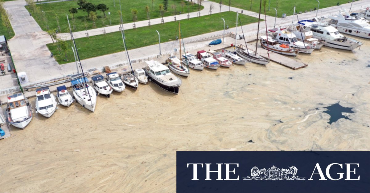 Blanket of slimy 'sea snot' on Turkish coast blamed on ...
