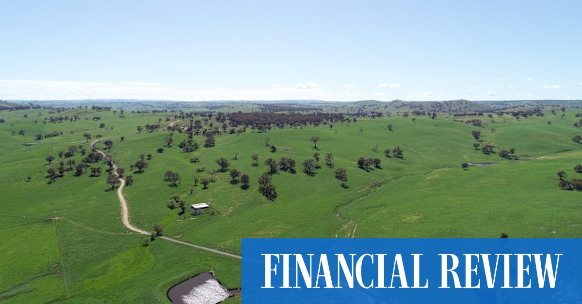 Strong sale ends family era at Sugarloaf - Vimarsana News
