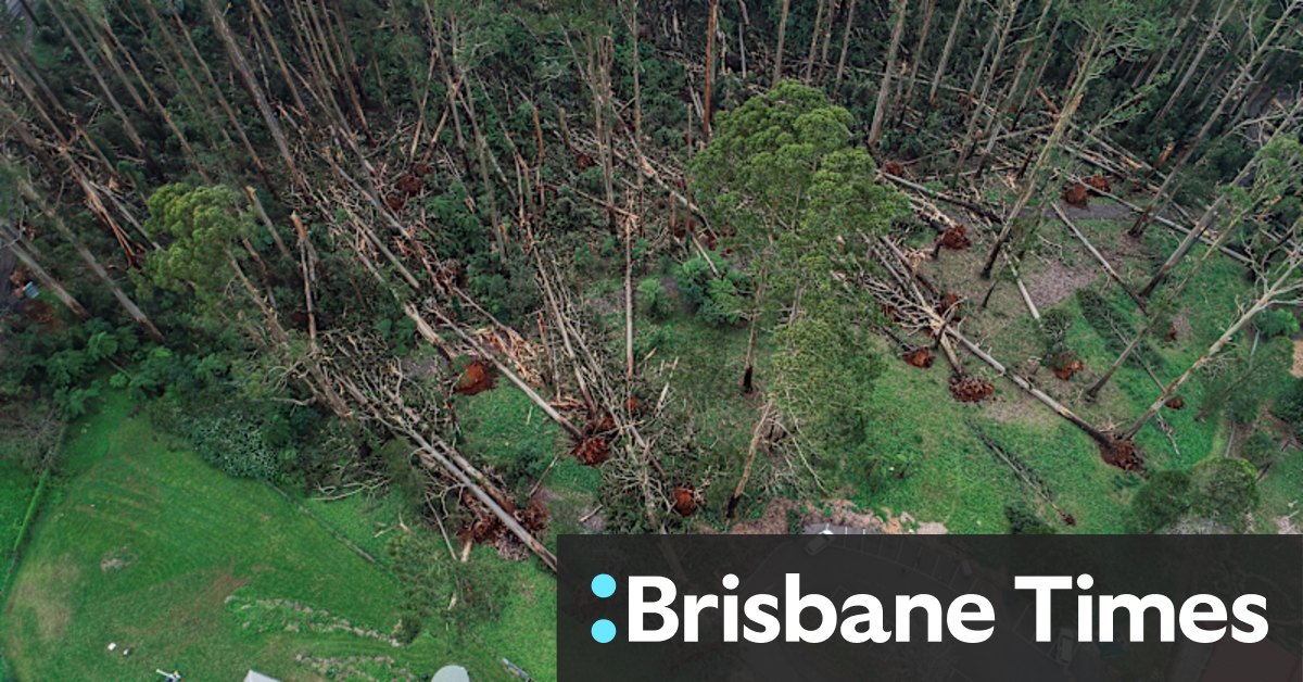 Melbourne weather: Dandenong Ranges residents brace for strong winds - Vimarsana News