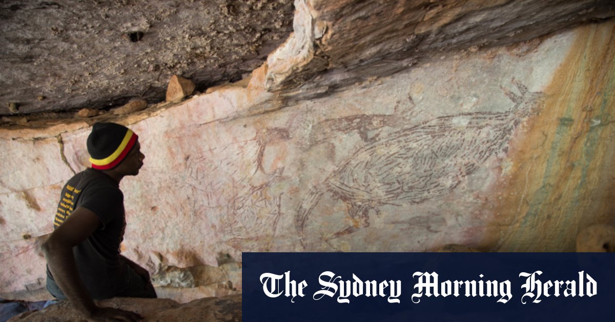 Wasps reveal age of Australia's oldest-known rock paintings