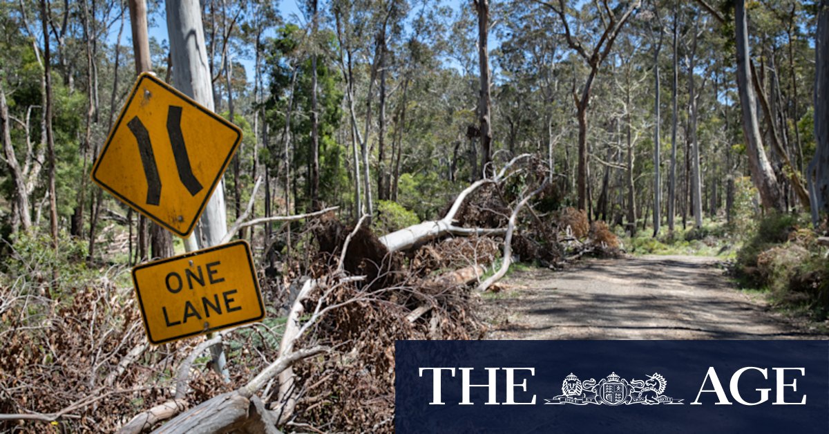 Wombat State Forest: Stoush over Aboriginal corporation's land management - Vimarsana News