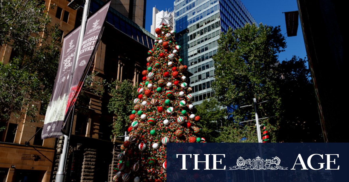 Martin Place Christmas tree goes up in lights - Vimarsana News
