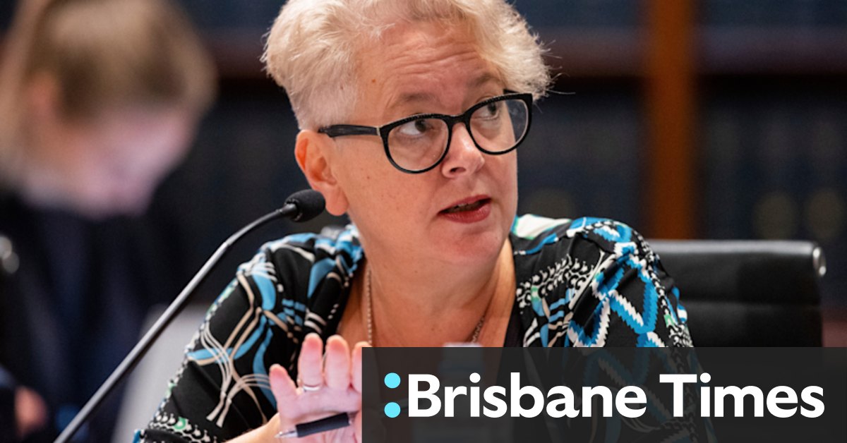 NSW Labor MP disappointed by 'juvenile, destructive' party antics - Vimarsana News