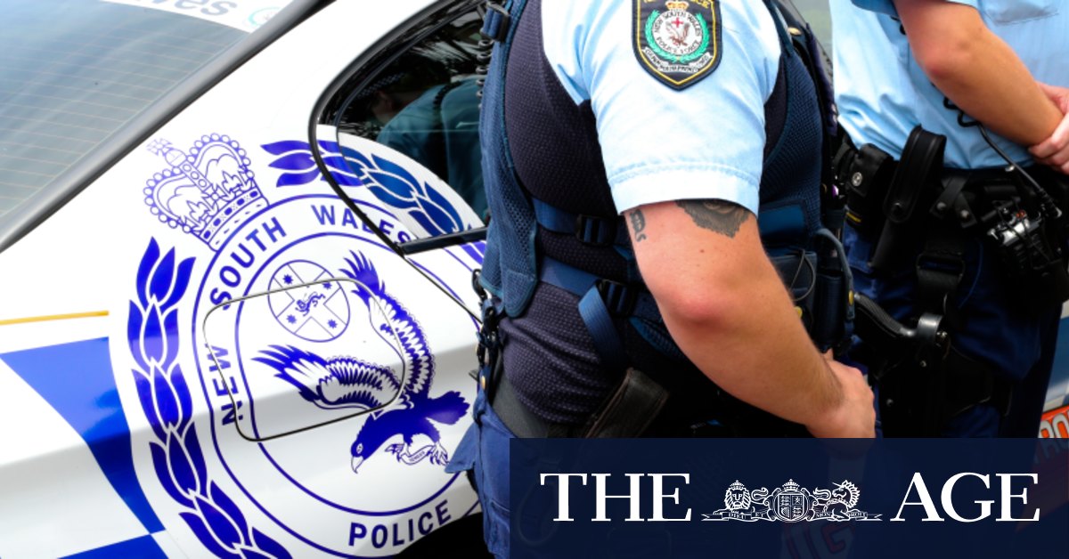 Fairlight Beach assault: Man critically injured during ...