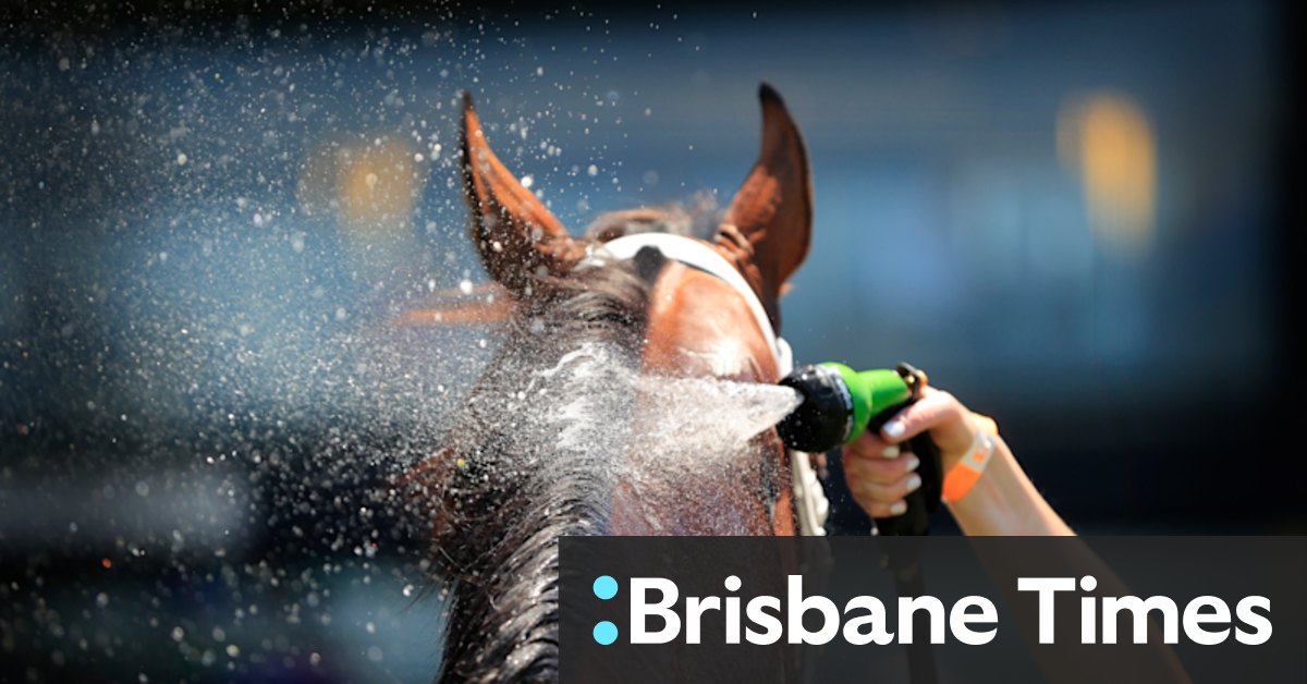 Tips and race-by-race preview for Goulburn on Tuesday