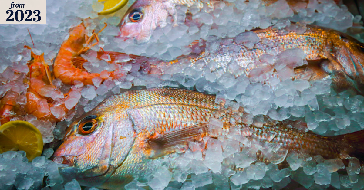 Tourists hooked on fresh Queensland seafood ‘dudded’ into imported fish