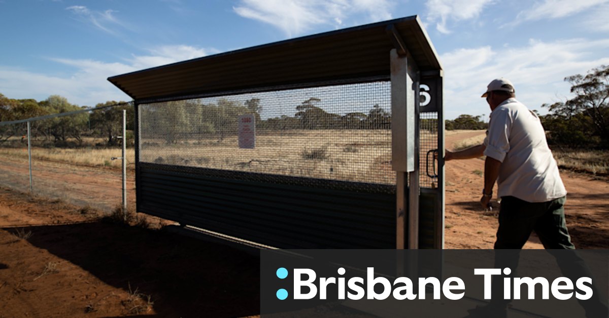 Feral-free zones: NSW triples size of protected area for endangered species - Vimarsana News