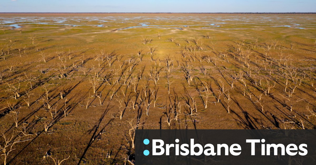 Murray Darling drying dramatically but water reforms not flowing - Vimarsana News
