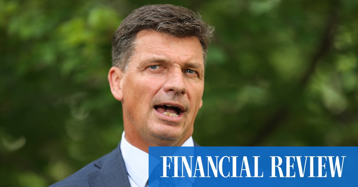 Angus Taylor to announce $50m boost for gas industry with funding for priority projects - Vimarsana News