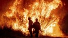 Fire crews battle the Kenneth Fire in the West Hills section of Los Angeles.