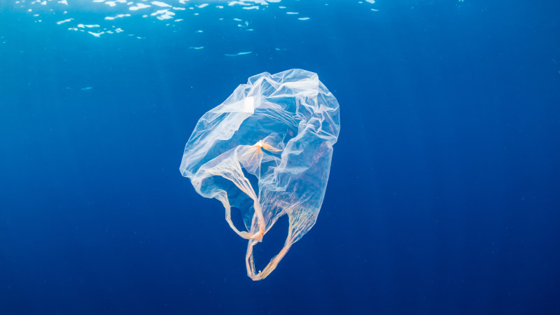 Plastic bags in the ocean online