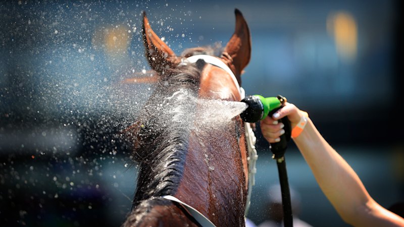 ‘It was pretty special’: Trainer eager to build on breakthrough win