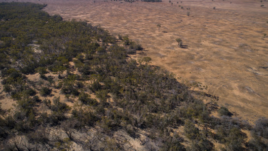 Farmland cleared north of Warren in north-western NSW. Clearing rates have accelerated since native vegetation rules were relaxed two years ago. 