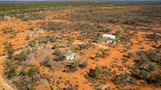 Using mulga forests to save carbon is under fresh scrutiny.