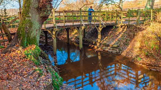 Pooh Sticks Bridge during autumn.